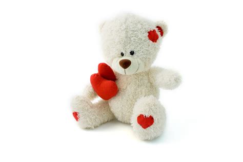 Free Images White Animal Love Heart Fluffy Child Teddy Bear