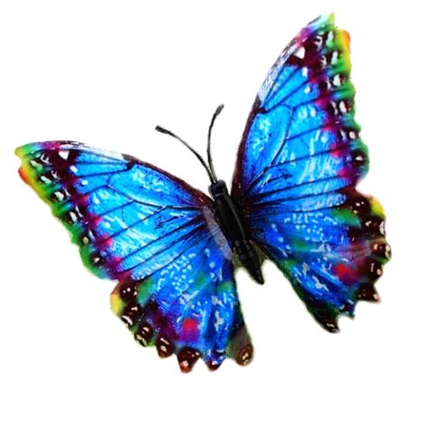 85 Cm Multi Colors Beautiful Butterfly With Brooch