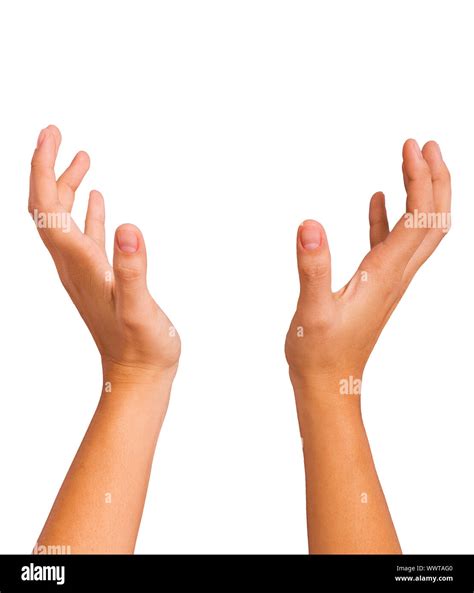 Las Manos De Una Mujer Cogiendo Aislado En Blanco Fotografía De Stock