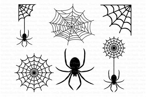 Spiders and Spider Web SVG files for Si | Design Bundles
