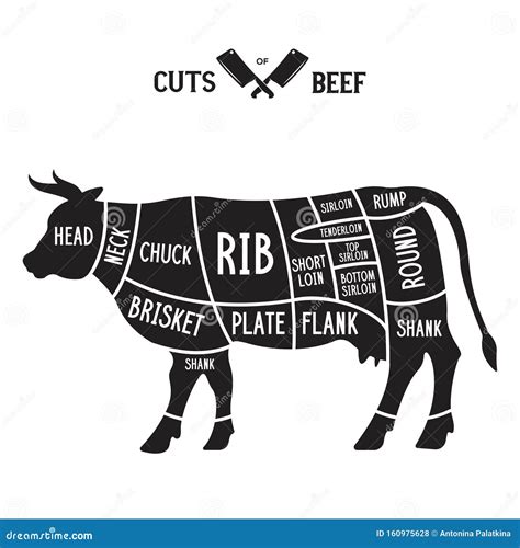 Cuts Of Beef Poster Butcher Diagram Cow Silhouette Isolated Meat