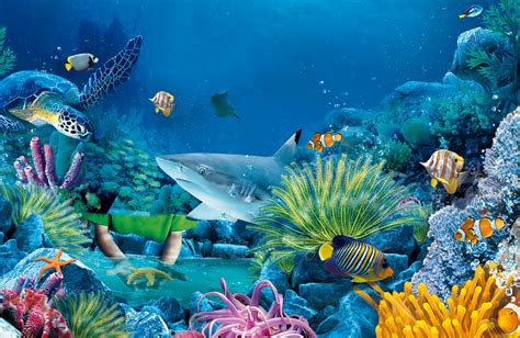 77 Marine Life Wallpaper On Wallpapersafari