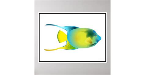 Tropical Fish Poster Zazzle