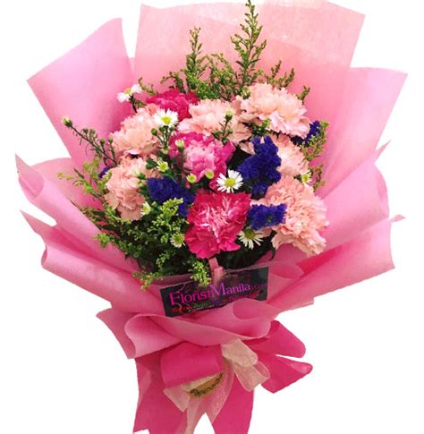 12 Pink And Red Carnations Delivery To Philippines Send Carnations To