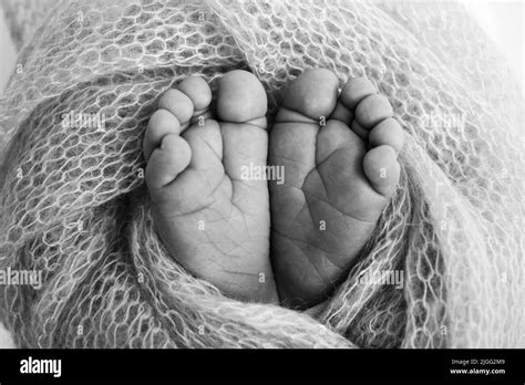 Kids Toes Black And White Stock Photos And Images Alamy