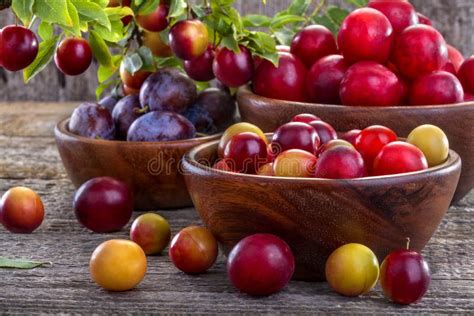 Sloes And Plums Stock Image Image Of Detox Fruit Background 42525499