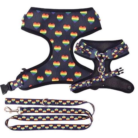 One Love Harness Dog Vest Harness Leashes Collar And Leash