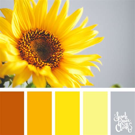 Sunflower Color Palette