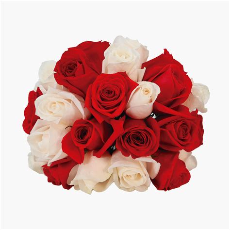 Red And White Roses Flower Delivery By Flower Mail
