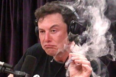 Elon Musk Jokes About Smoking Cannabis At Twitter Board Meetings