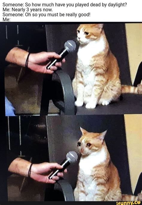 Crying Cat Interview Meme Generator 2023