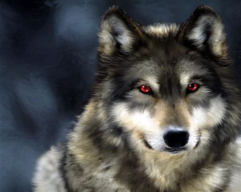 Wolf Wallpaper Super Cool 71 Cool Wolf Wallpapers On Wallpaperplay