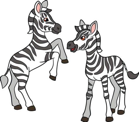 Baby Zebra Clipart Illustrations Royalty Free Vector Graphics And Clip