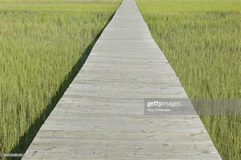 Boardwalk Over Marsh High Res Stock Photo Getty Images