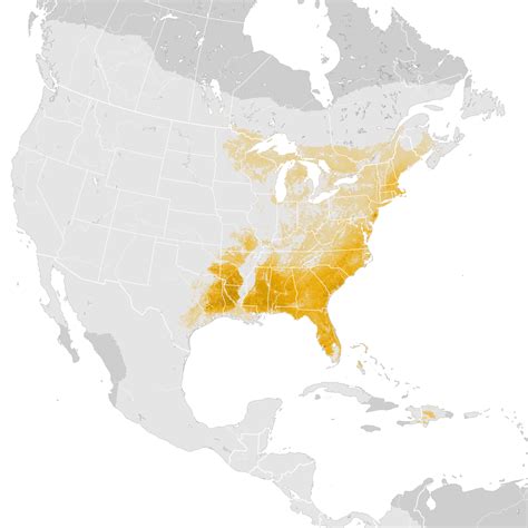 Pine Warbler Abundance Map Post Breeding Migration Ebird Status