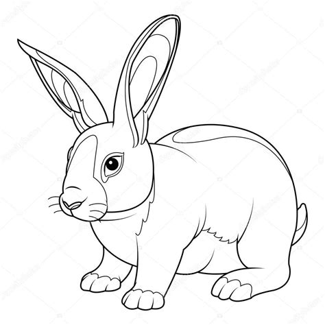 Rabbit Coloring Page — Stock Vector © lumyaisweet #153780914