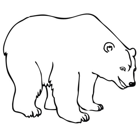 Polar Bear Printable