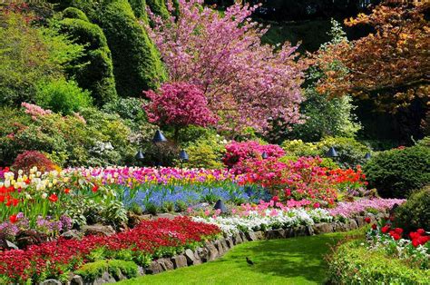 No matter how complex your project may be, we're here to help you finish it. Wonderful: Taman Sejuta Warna Yang Indah di Butchart Gardens