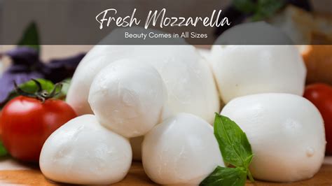 Mozzarella Sizes Why Fresh Small Balls Are The Best