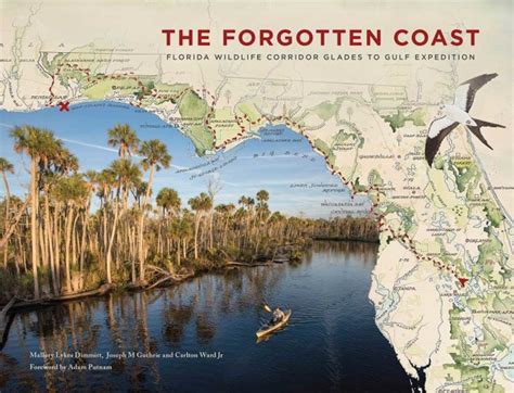 Forgotten Coast Return To Wild Florida A Film Review Wild Lens