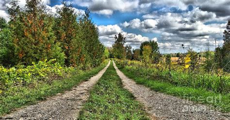 Quiet Country Road Photograph By Anthony Djordjevic Fine Art America