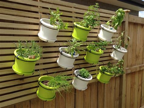 Our Living Wall Herb Garden With Images Herb Garden