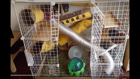 You can even use these as ingredients for your own homemade chinchilla treats! DIY customizable chinchilla/animal cage. Wire mesh cage, Affordable - YouTube