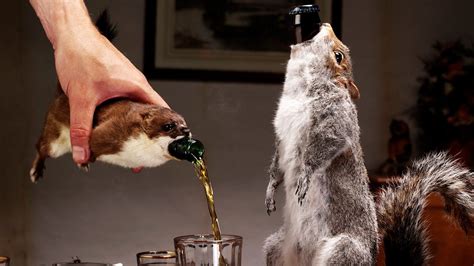 Brewdog End Of History Beer Costs 20k And Comes In A Taxidermied