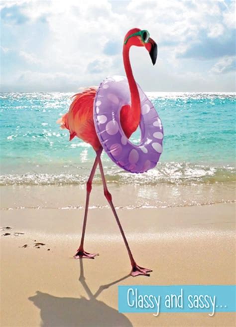 Avanti Classy And Sassy Flamingo Birthday Greeting Card Cards Funny