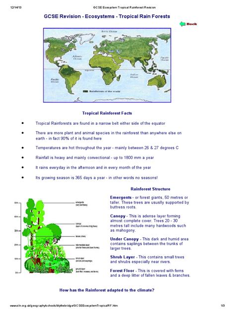 Gcse Ecosystem Tropical Rainforest Revision Pdf Rainforest Trees