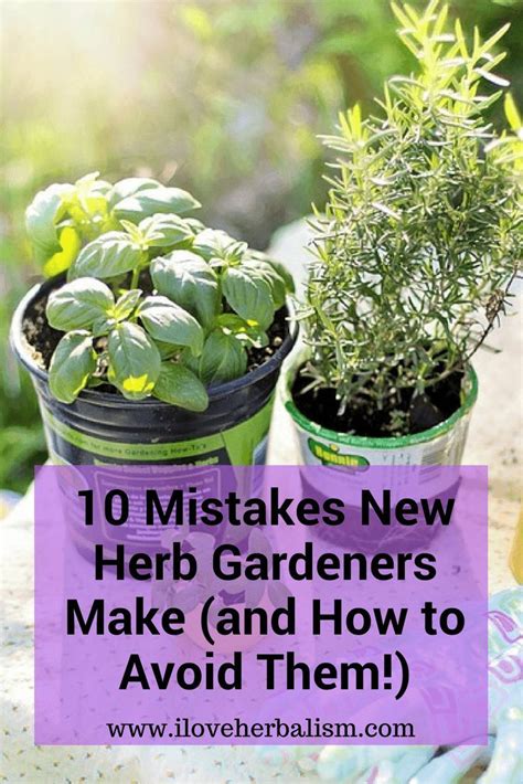 10 Mistakes New Herb Gardeners Make And How To Avoid Them