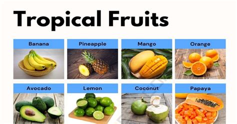 166 Tropical Fruits List With Juicy Pictures • 7esl