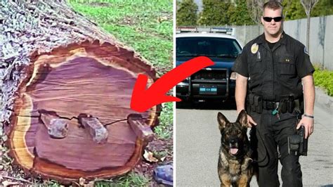 Former Police Dog Barks At Tree Then Uncovers Something Unsettling