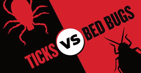 Ticks Vs Bed Bugs How To Tell The Difference