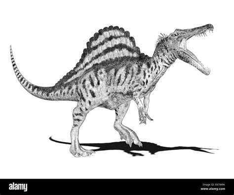 Dinosaurier Spinosaurus Spinosaurus Dinosauro Foto Stock Alamy
