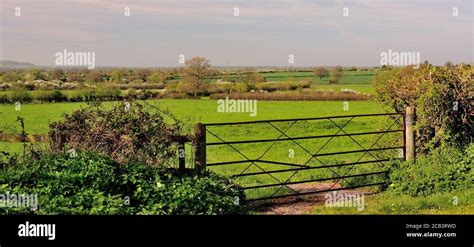 Wiltshire Countryside Seen Through A Field Gateway Stock Photo Alamy