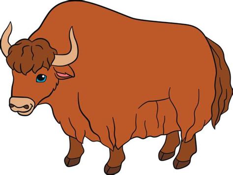 Yak Clipart Clip Art Vector Images And Illustrations Istock