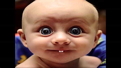 Funny Baby Pictures Try Not To Laugh Baby Images