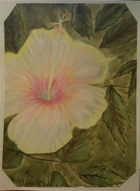 Hibiscus Lupis Wonders Paintings And Prints Flowers Plants