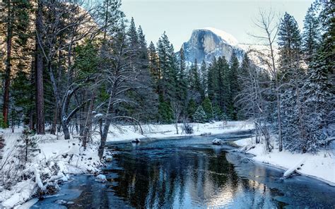 Yosemite National Park California Usa Snow Forest Trees Mountains