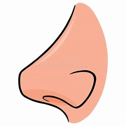 Nose Side Vector Illustration