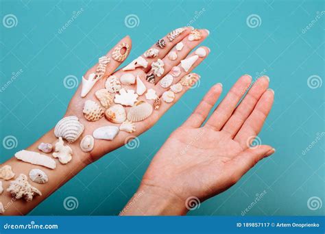 Two Hands One Without Any Shell Another Holds Various Shape Sea Shells