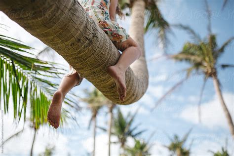 Brave Little Caucasian Girl Climbing Palm Tree By Stocksy Contributor