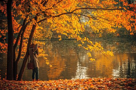 Free Photo Autumn Lake Autumn Reflection Outside Free Download
