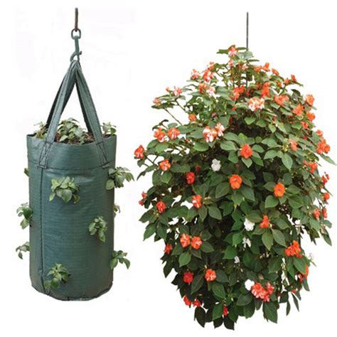Al's flower pouch has this funny stretchy quality to it. 2 Hanging Tomato Planter Bag Pouch Growbag grow fruit ...