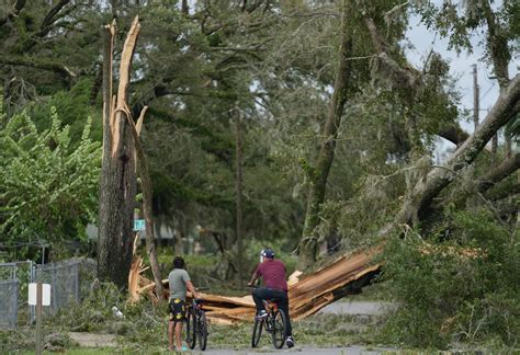 Hurricane Idalia's wrath scars 'The Tree Capital of the South': Perry