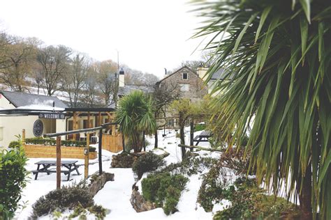 A Snowy Garden Captured By Helen Court Photography Turning Our Garden