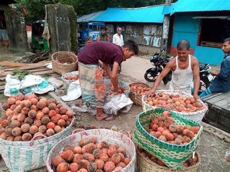 Local Fruit Seller Kashem Eco Tourism At Sitakund And Mirsharai In