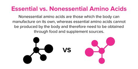 If the writer has only one brother , the. Essential and Nonessential Amino Acids: What's the ...