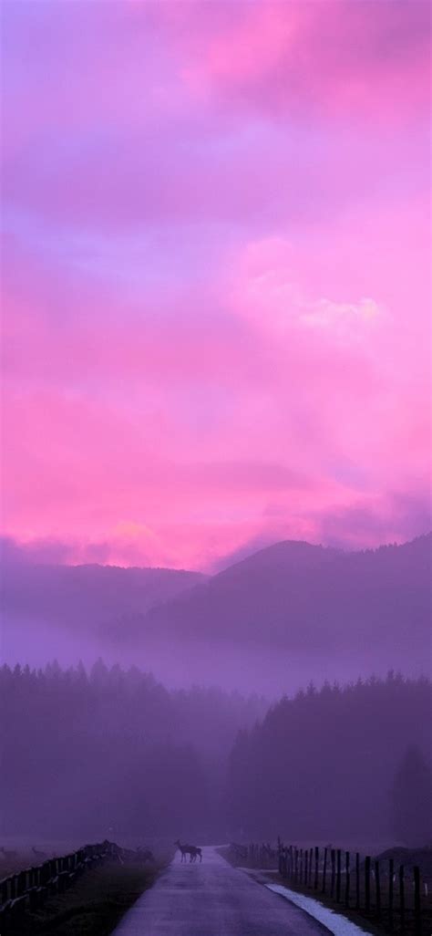1125x2436 Misty Pink Sunset Iphone Xsiphone 10iphone X Hd 4k Wallpapers Images Backgrounds